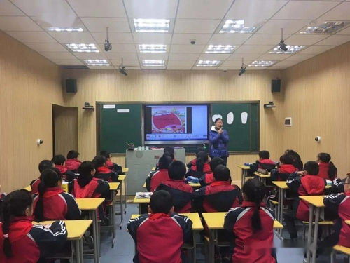 同課巧設計 異構顯匠心 蓮塘一小教育集團同課異構教學競賽活動中的心理咨詢融合探索