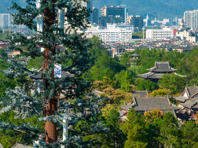 浙江電信全面建設(shè)5G-A網(wǎng)絡(luò)，為AI時(shí)代注入新動(dòng)能